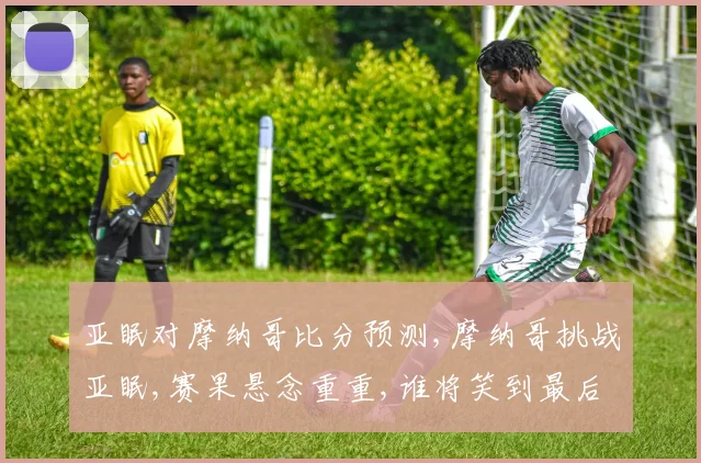 亚眠对摩纳哥比分预测,摩纳哥挑战亚眠,赛果悬念重重,谁将笑到最后
