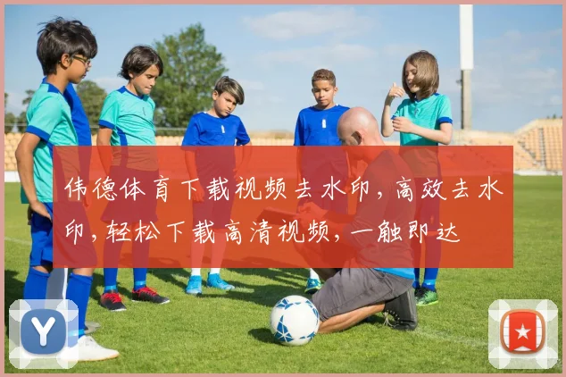 伟德体育下载视频去水印,高效去水印,轻松下载高清视频,一触即达