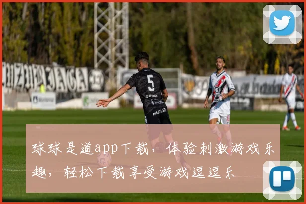 球球是道app下载，体验刺激游戏乐趣，轻松下载享受游戏逗逗乐